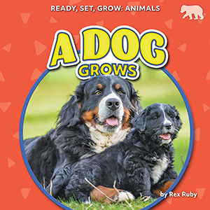 Cover Art for A Dog Grows