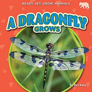 Cover Art for A Dragonfly Grows