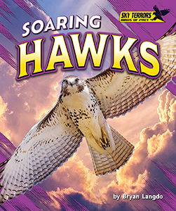 Cover Art for Soaring Hawks