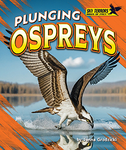 Cover Art for Plunging Ospreys