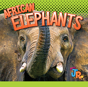 Cover Art for African Elephants