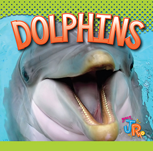 Cover Art for Dolphins