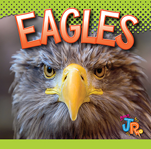 Cover Art for Eagles