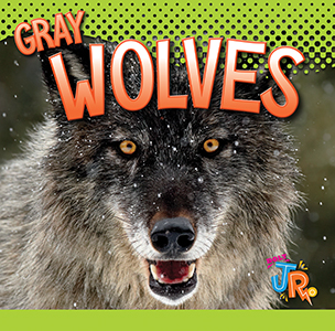 Cover Art for Gray Wolves