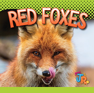 Cover Art for Red Foxes