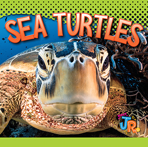 Cover Art for Sea Turtles