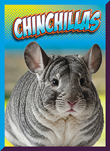 Cover Art for Chinchillas