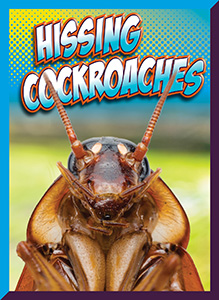 Cover Art for Hissing Cockroaches