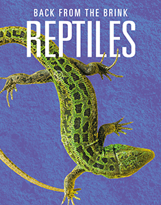 Cover Art for Reptiles: Back from the Brink