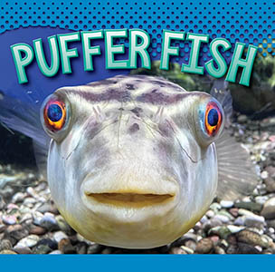 Cover Art for Puffer Fish