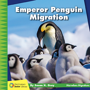 Cover Art for Emperor Penguin Migration