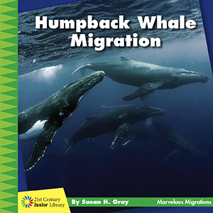 Cover Art for Humpback Whale Migration