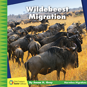 Cover Art for Wildebeest Migration