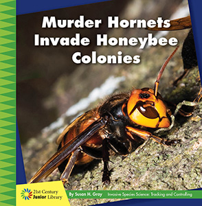 Cover Art for Murder Hornets Invade Honeybee Colonies