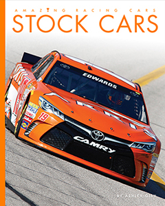 Cover Art for Stock Cars