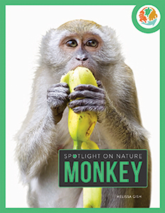Cover Art for Monkey