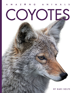 Cover Art for Coyotes