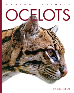 Cover Art for Ocelots