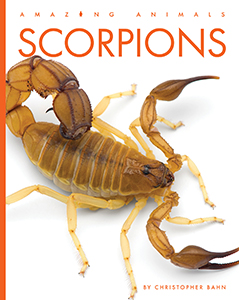 Cover Art for Scorpions