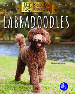 Cover Art for Labradoodles