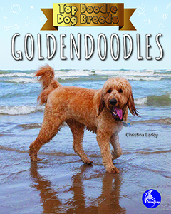 Cover Art for Goldendoodles