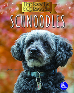 Cover Art for Schnoodles