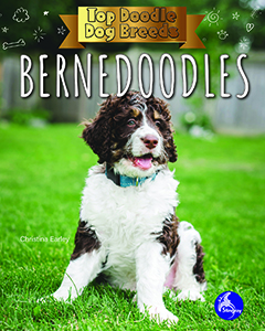 Cover Art for Bernedoodles