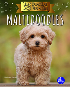 Cover Art for Maltidoodles