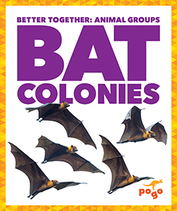 Cover Art for Bat Colonies