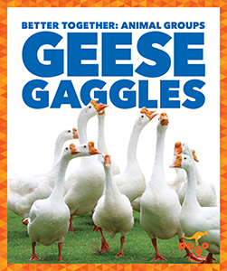 Cover Art for Geese Gaggles