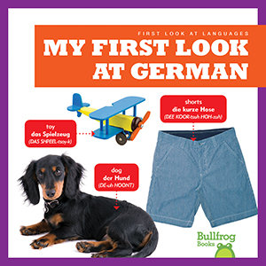 Cover Art for My First Look at German