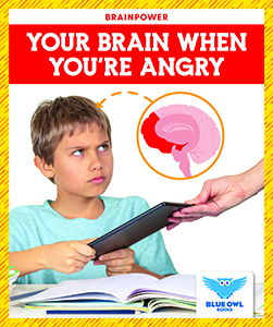 Cover Art for Your Brain When You're Angry