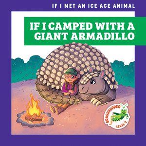 Cover Art for If I Camped with a Giant Armadillo