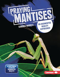 Cover Art for Praying Mantises: An Augmented Reality Experience