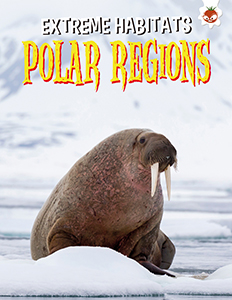 Cover Art for Polar Regions
