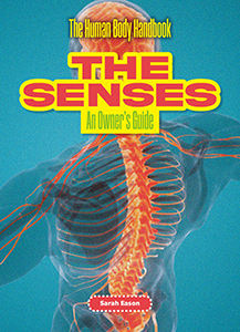 Cover Art for The Senses: An Owner's Guide