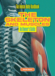 Cover Art for The Skeleton and Muscles: An Owner's Guide