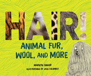 Cover Art for Hair!: Animal Fur, Wool, and More