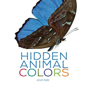 Cover Art for Hidden Animal Colors