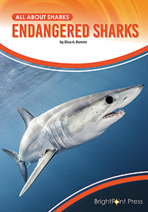 Cover Art for Endangered Sharks