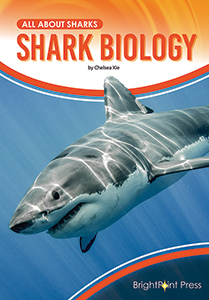 Cover Art for Shark Biology