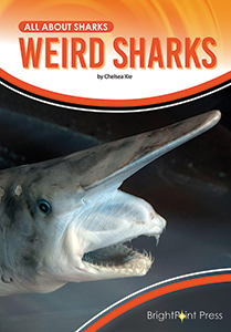Cover Art for Weird Sharks