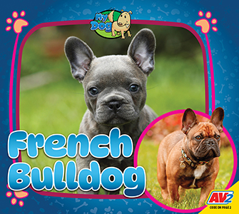 Cover Art for French Bulldog