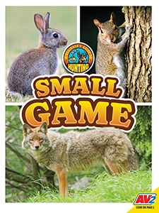 Cover Art for Small Game