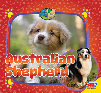 Cover Art for Australian Shepherd
