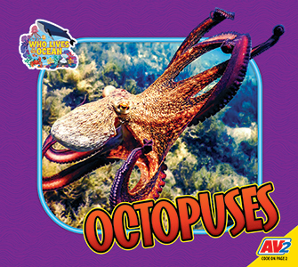 Cover Art for Octopuses