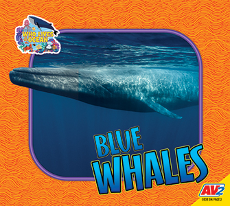 Cover Art for Blue Whales